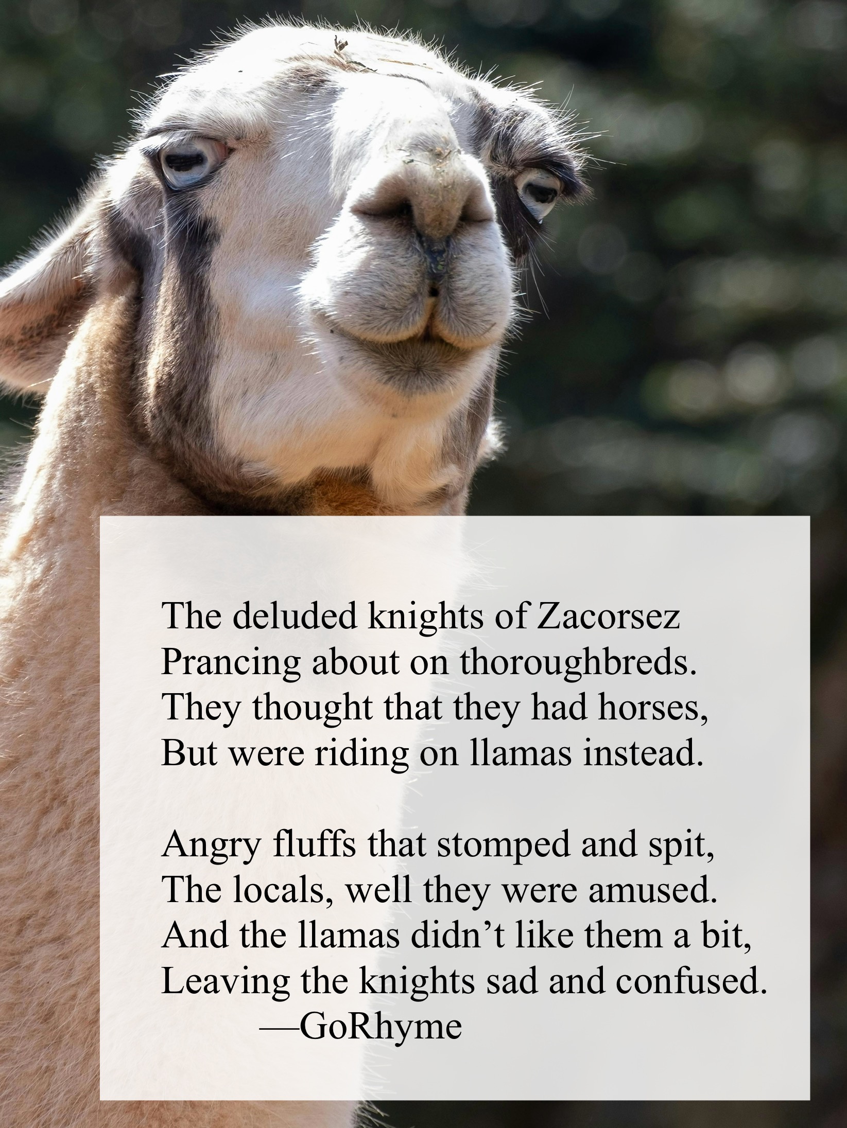 Poetry by Kelly Gray